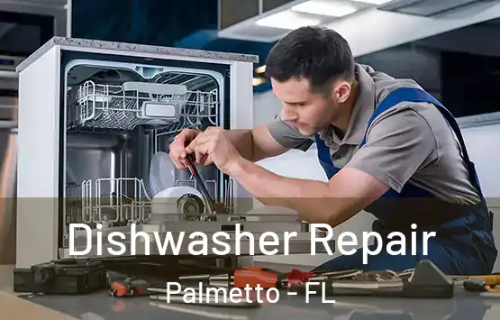  Dishwasher Repair Palmetto - FL