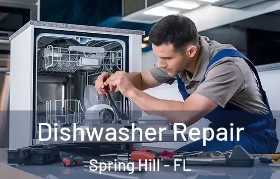  Dishwasher Repair Spring Hill - FL