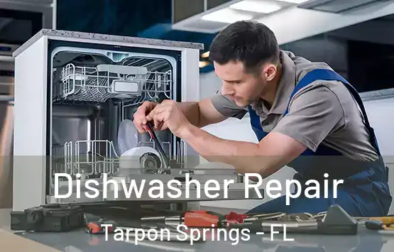 Dishwasher Repair Tarpon Springs - FL