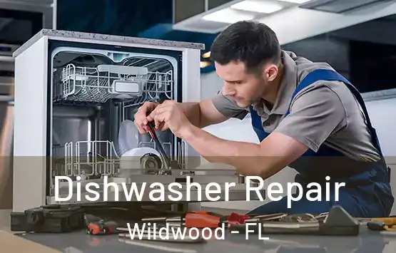  Dishwasher Repair Wildwood - FL