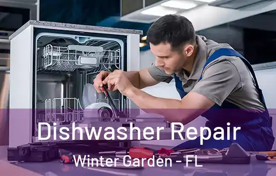  Dishwasher Repair Winter Garden - FL