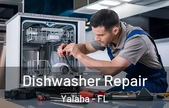  Dishwasher Repair Yalaha - FL
