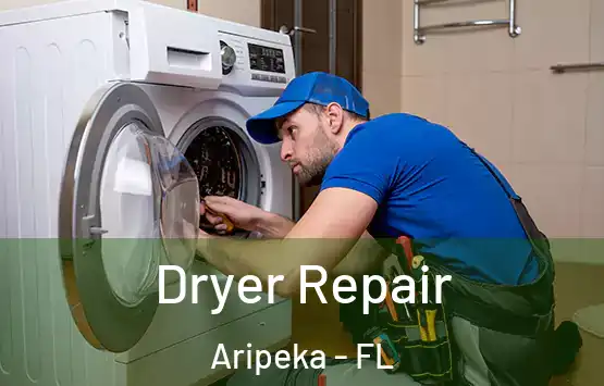  Dryer Repair Aripeka - FL