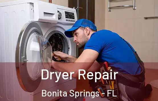  Dryer Repair Bonita Springs - FL