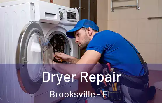  Dryer Repair Brooksville - FL