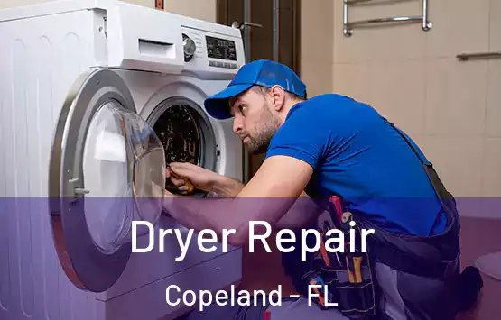  Dryer Repair Copeland - FL