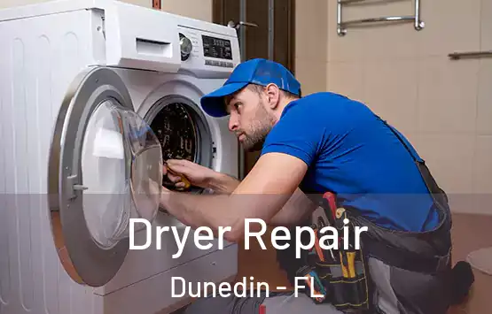 Dryer Repair Dunedin - FL
