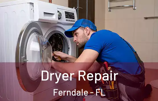  Dryer Repair Ferndale - FL
