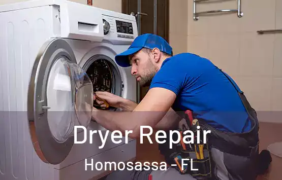  Dryer Repair Homosassa - FL