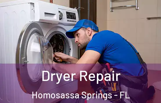  Dryer Repair Homosassa Springs - FL