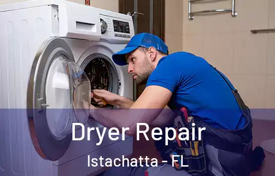  Dryer Repair Istachatta - FL
