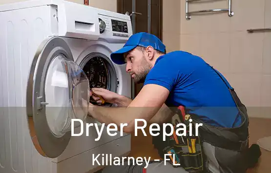 Dryer Repair Killarney - FL