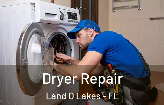  Dryer Repair Land O Lakes - FL