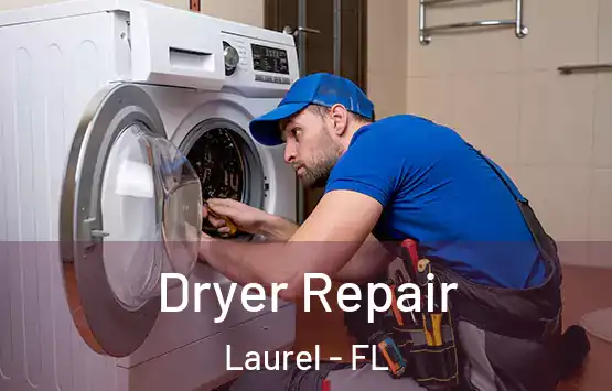  Dryer Repair Laurel - FL