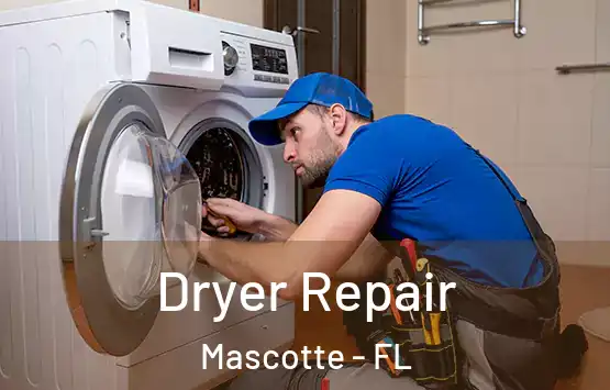  Dryer Repair Mascotte - FL