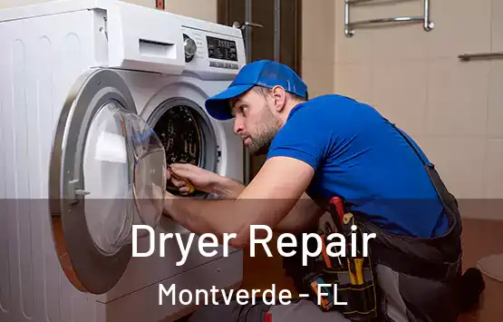  Dryer Repair Montverde - FL