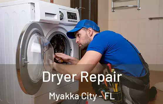  Dryer Repair Myakka City - FL
