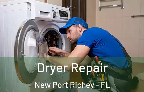  Dryer Repair New Port Richey - FL