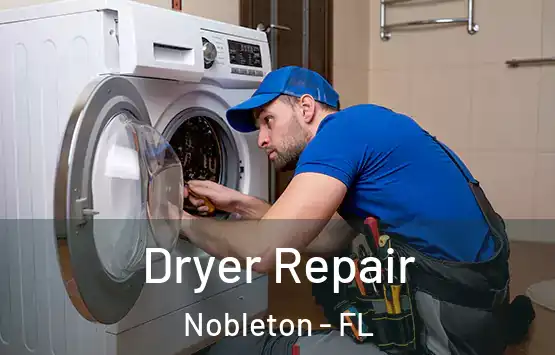  Dryer Repair Nobleton - FL