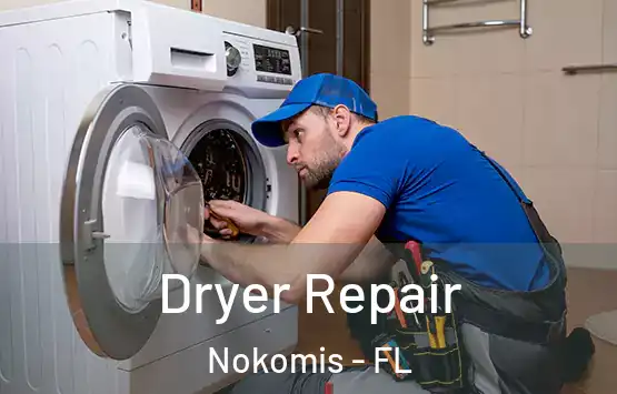  Dryer Repair Nokomis - FL