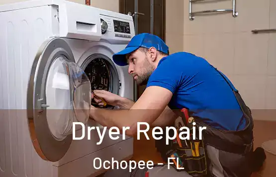  Dryer Repair Ochopee - FL