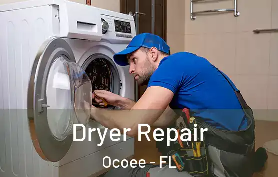 Dryer Repair Ocoee - FL