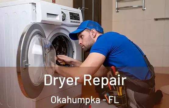  Dryer Repair Okahumpka - FL