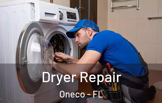  Dryer Repair Oneco - FL