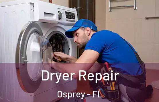  Dryer Repair Osprey - FL