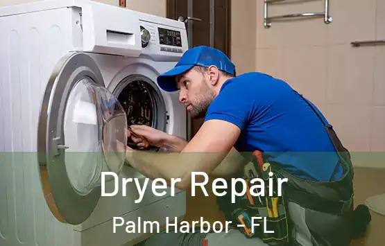  Dryer Repair Palm Harbor - FL