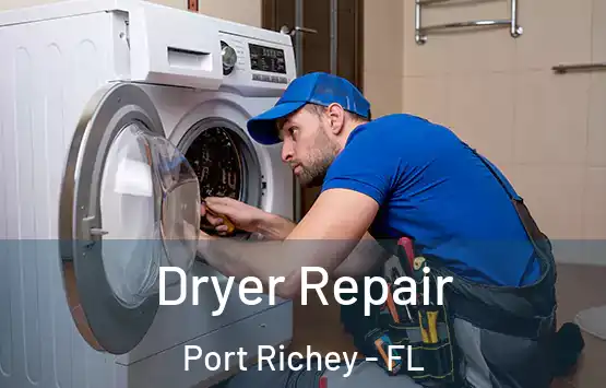  Dryer Repair Port Richey - FL