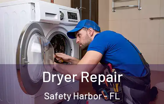  Dryer Repair Safety Harbor - FL