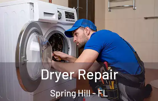  Dryer Repair Spring Hill - FL