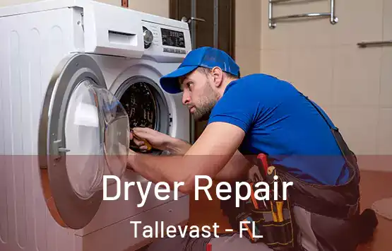 Dryer Repair Tallevast - FL