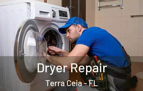  Dryer Repair Terra Ceia - FL