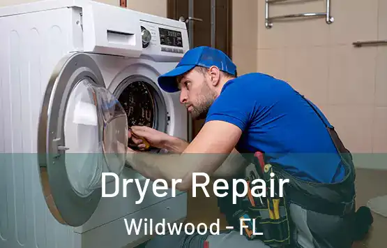  Dryer Repair Wildwood - FL