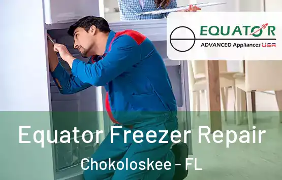  Equator Freezer Repair Chokoloskee - FL