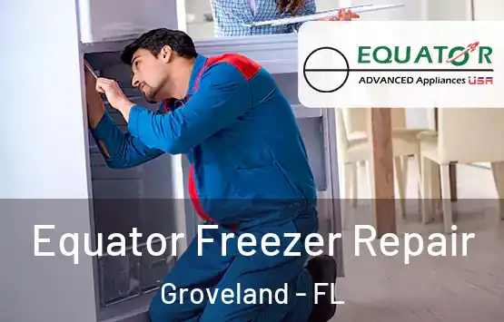  Equator Freezer Repair Groveland - FL