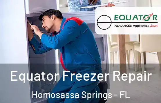  Equator Freezer Repair Homosassa Springs - FL