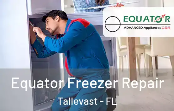  Equator Freezer Repair Tallevast - FL