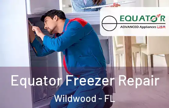  Equator Freezer Repair Wildwood - FL