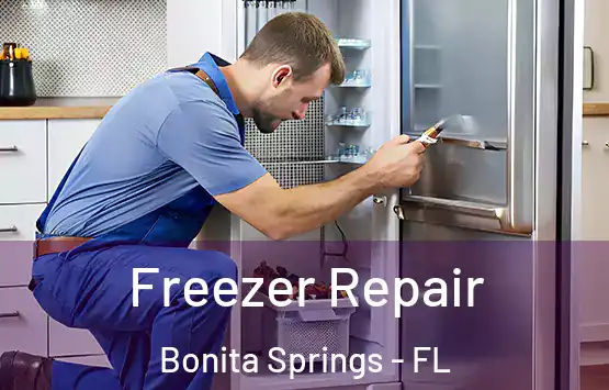  Freezer Repair Bonita Springs - FL