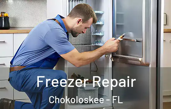  Freezer Repair Chokoloskee - FL