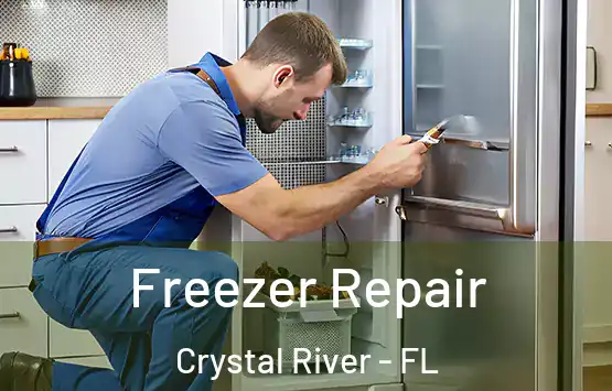  Freezer Repair Crystal River - FL