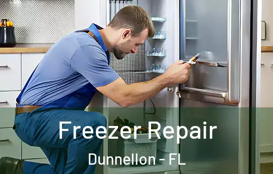  Freezer Repair Dunnellon - FL