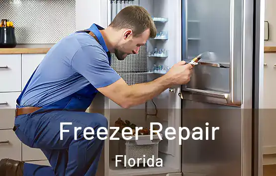  Freezer Repair Florida