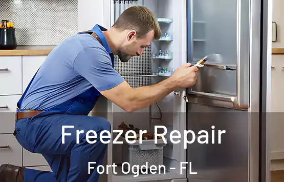  Freezer Repair Fort Ogden - FL
