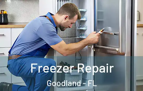  Freezer Repair Goodland - FL