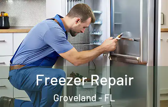  Freezer Repair Groveland - FL