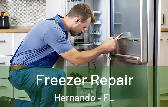 Freezer Repair Hernando - FL